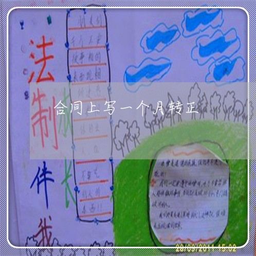 合同上写一个月转正/2023060794037