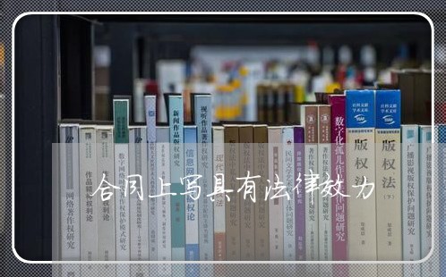 合同上写具有法律效力/2023041683793