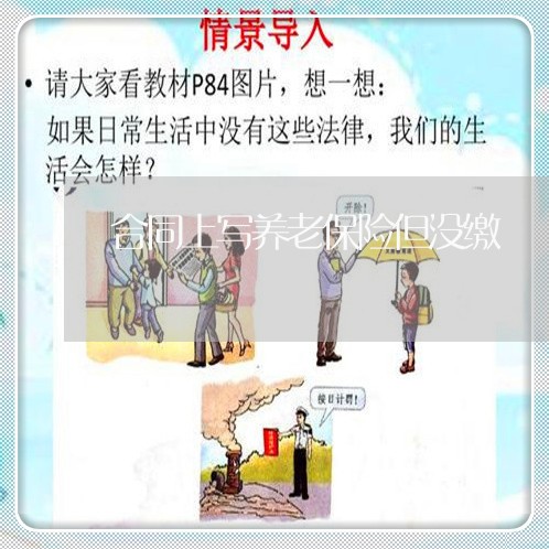 合同上写养老保险但没缴/2023060295835