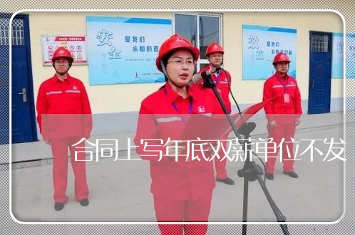 合同上写年底双薪单位不发/2023022633869