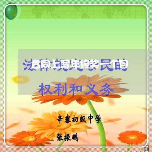 合同上写年终奖一个月/2023061956140