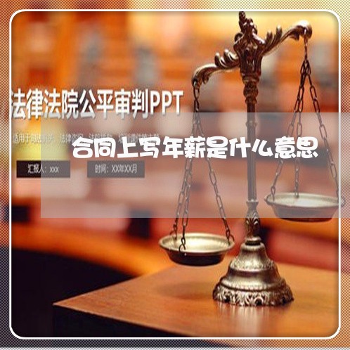 合同上写年薪是什么意思/2023041372513 合同上写年薪是什么意思/2023041372513