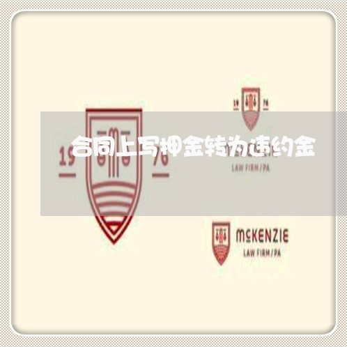 合同上写押金转为违约金/2023042350593