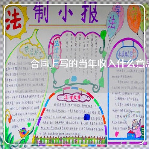 合同上写的当年收入什么意思/2023061616050