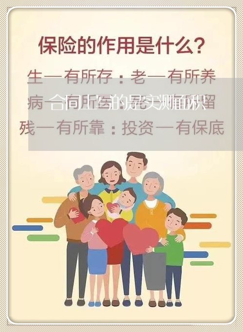 合同上写的是实测面积/2023011715381 合同上写的是实测面积/2023011715381