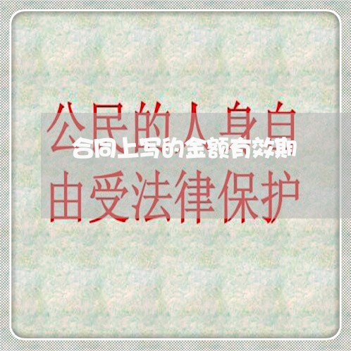 合同上写的金额有效期/2023042206938