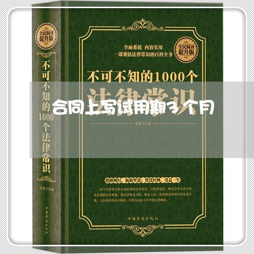 合同上写试用期3个月/2023060749250