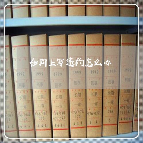 合同上写违约怎么办/2023040359793