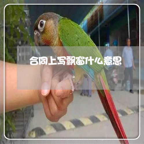 合同上写飘窗什么意思/2023041607828 合同上写飘窗什么意思/2023041607828