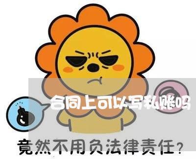 合同上可以写私账吗/2023040429060 合同上可以写私账吗/2023040429060
