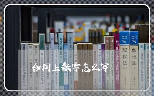 合同上数字怎么写 合同上数字怎么写