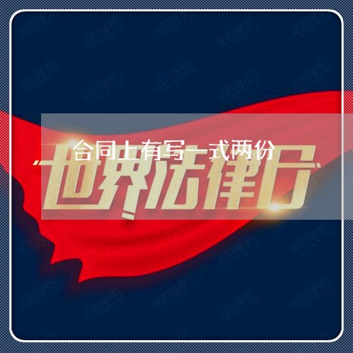 合同上有写一式两份/2023061527261 合同上有写一式两份/2023061527261