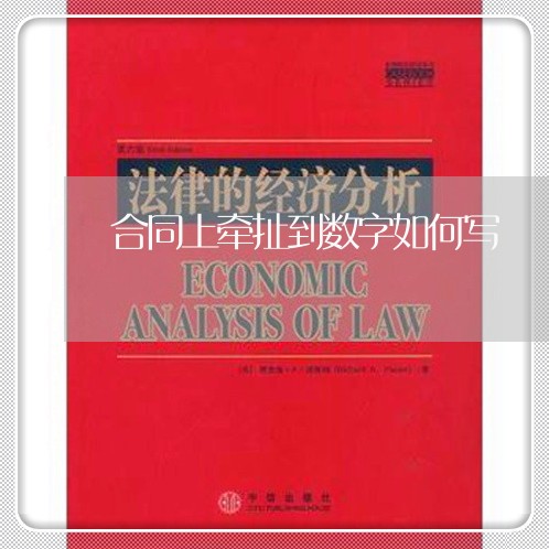 合同上牵扯到数字如何写/2023042159580 合同上牵扯到数字如何写/2023042159580