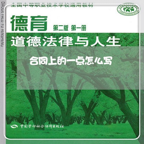 合同上的一点怎么写/2023041560562
