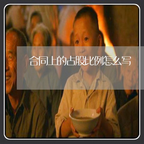 合同上的占股比例怎么写/2023022744715