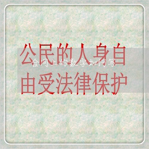 合同上的数字如何写/2023011632613