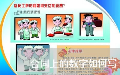 合同上的数字如何写/2023041125261 合同上的数字如何写/2023041125261