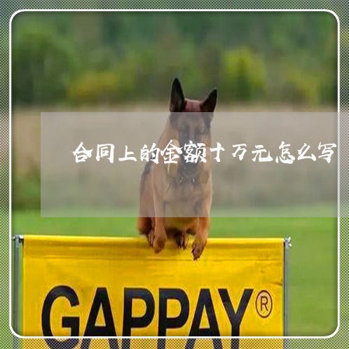 合同上的金额十万元怎么写/2023060373705