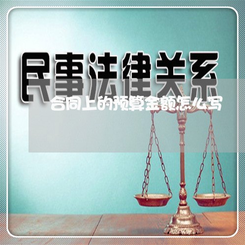 合同上的预算金额怎么写/2023011706028