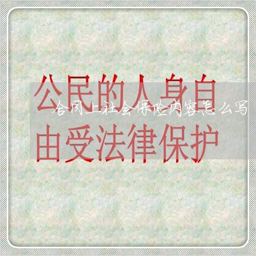 合同上社会保险内容怎么写/2023041583828 合同上社会保险内容怎么写/2023041583828
