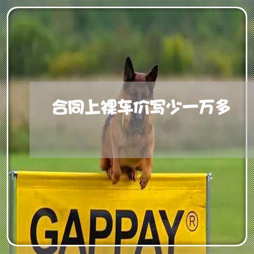 合同上裸车价写少一万多/2023042268560