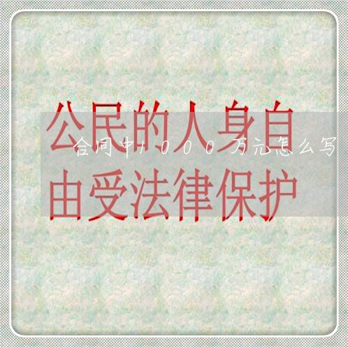 合同中1000万元怎么写/2023041735069 合同中1000万元怎么写/2023041735069