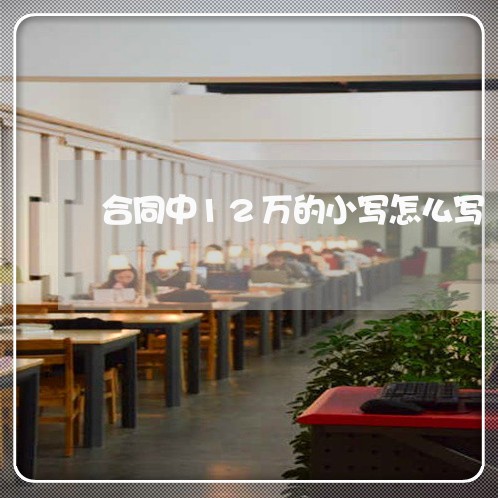 合同中12万的小写怎么写/2023041558261
