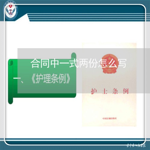 合同中一式两份怎么写/2023060894595