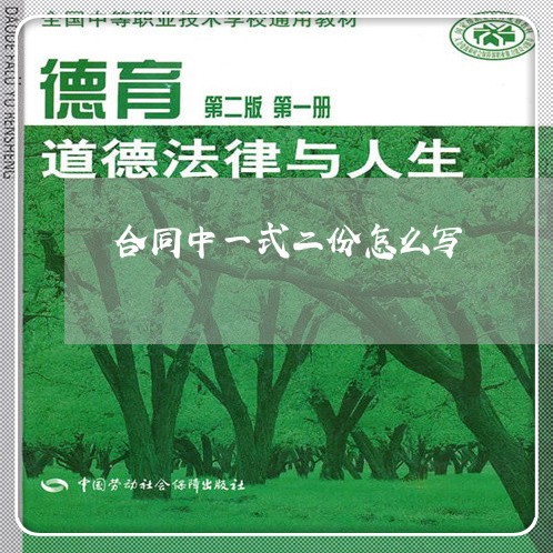 合同中一式二份怎么写/2023060769574