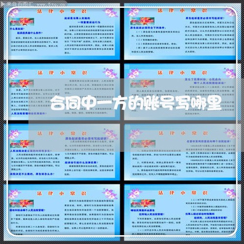 合同中一方的账号写哪里/2023060160504