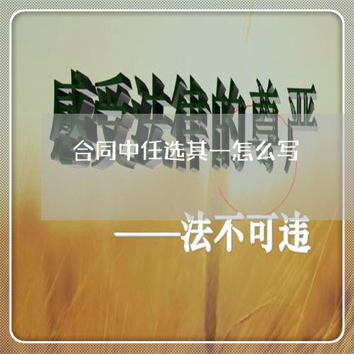 合同中任选其一怎么写/2023022673826 合同中任选其一怎么写/2023022673826