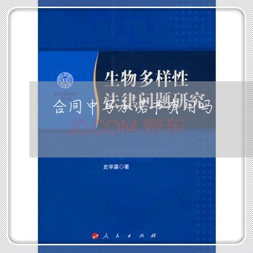 合同中写承诺书有用吗/2023060352503 合同中写承诺书有用吗/2023060352503