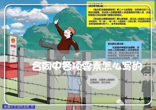 合同中各项要素怎么写的/2023022636491
