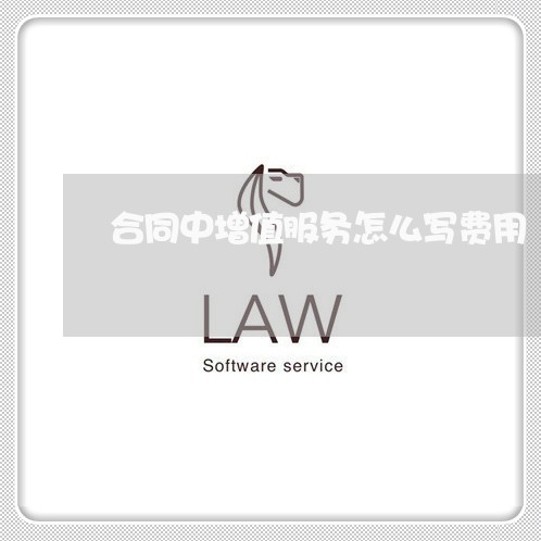 合同中增值服务怎么写费用/2023041395136