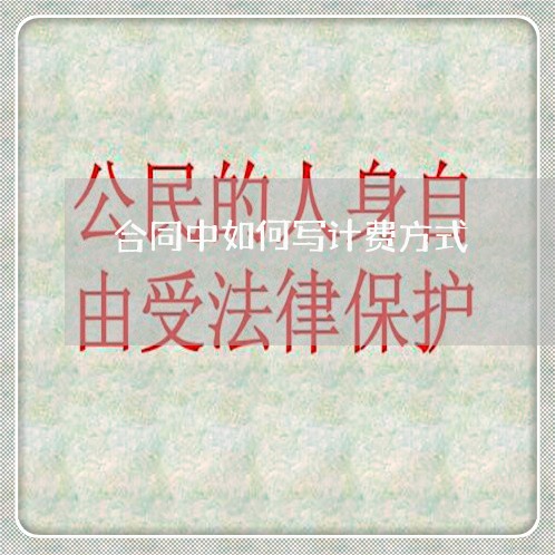 合同中如何写计费方式/2023041070583 合同中如何写计费方式/2023041070583