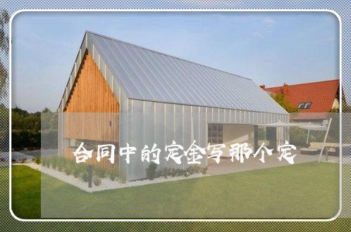 合同中的定金写那个定 合同中的定金写那个定