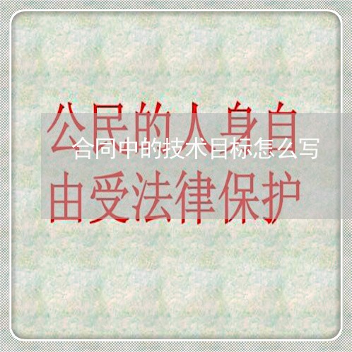合同中的技术目标怎么写/2023041272928 合同中的技术目标怎么写/2023041272928