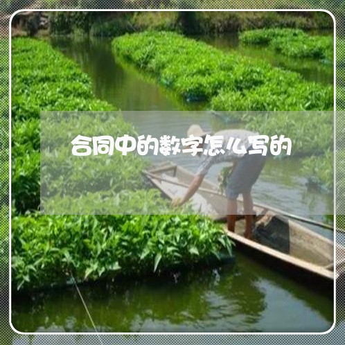 合同中的数字怎么写的/2023022787380 合同中的数字怎么写的/2023022787380