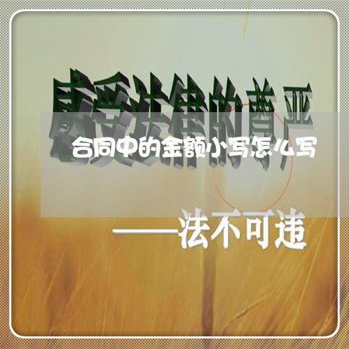合同中的金额小写怎么写/2023041039473 合同中的金额小写怎么写/2023041039473