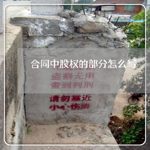 合同中股权的部分怎么写/2023022616492 合同中股权的部分怎么写/2023022616492