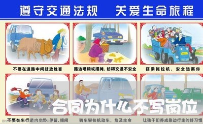 合同为什么不写岗位/2023041152725 合同为什么不写岗位/2023041152725