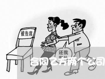 合同乙方两个公司怎么写/2023041727271