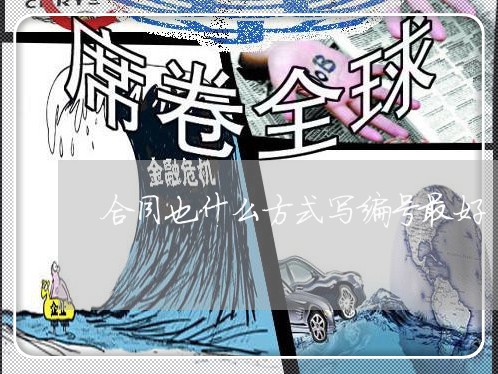 合同也什么方式写编号最好/2023041052603
