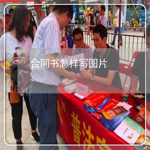 合同书怎样写图片/2023022642837