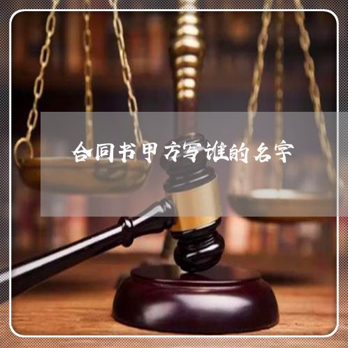 合同书甲方写谁的名字/2023042216036