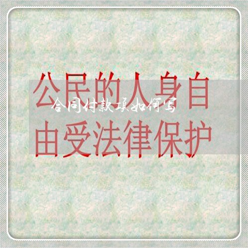 合同付款项如何写/2023041258583 合同付款项如何写/2023041258583