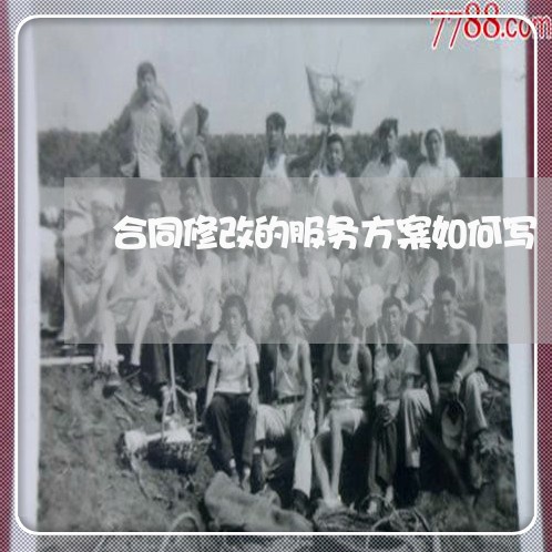 合同修改的服务方案如何写/2023041330481