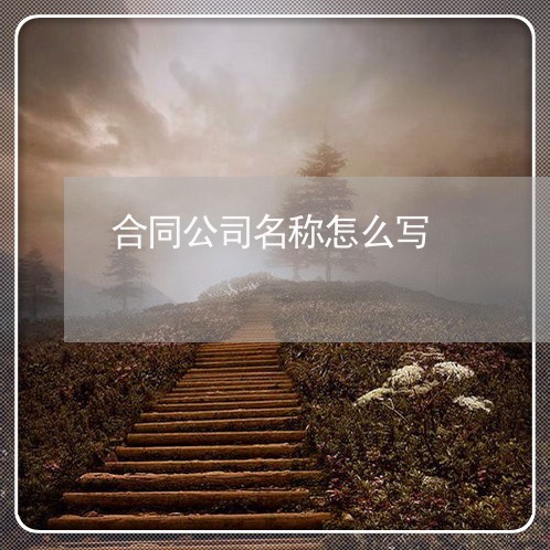 合同公司名称怎么写/2023022657170