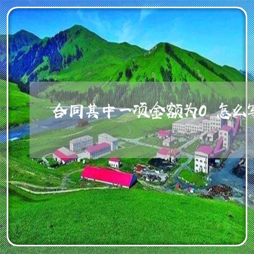 合同其中一项金额为0怎么写/2023060827582