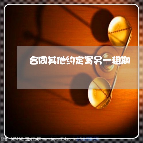 合同其他约定写另一租期/2023030186037